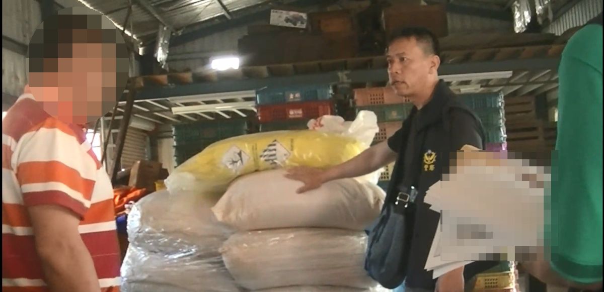 山老鼠盜取貴重木製肖楠粉變賣牟利 保七移送法辦