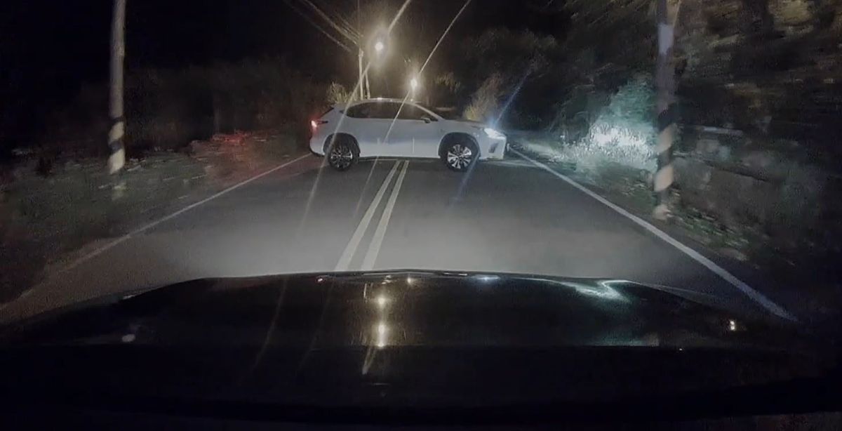 山老鼠盜取貴重木製肖楠粉變賣牟利 保七移送法辦