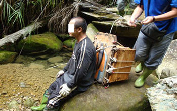 於保安林地小徑查獲正在運送盜伐林木之山老鼠